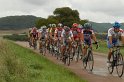 dornecy110911_05
